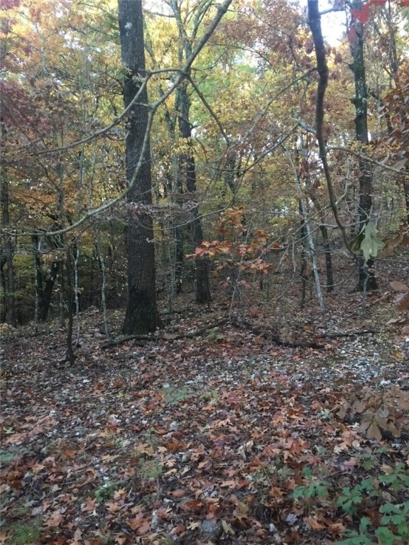 0 Iffley Ln, Bella Vista, AR 72714 - photo 1