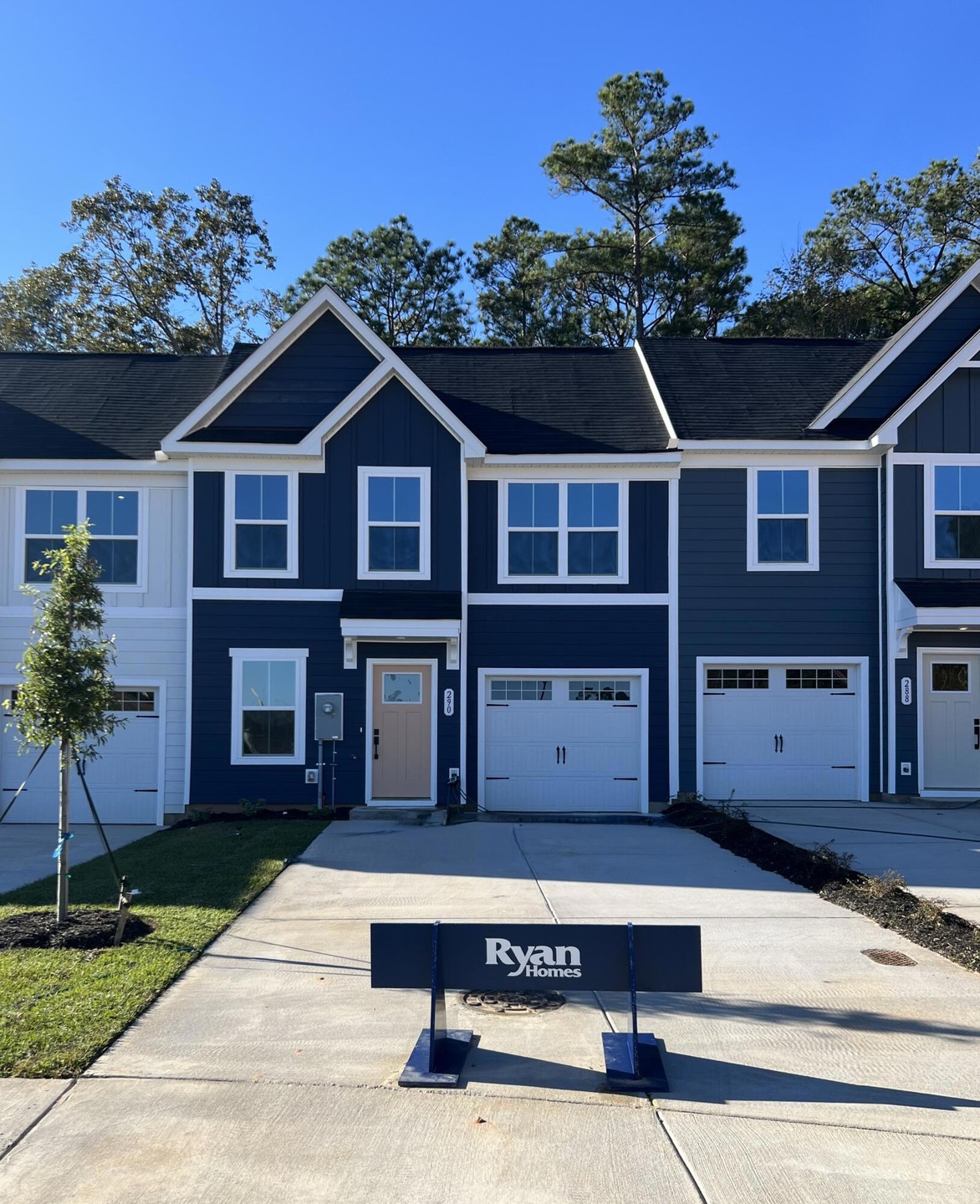 290 Picard Loop