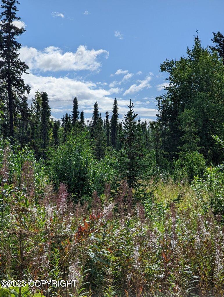 32680 Regal St, Anchor Point, AK 99556 - photo 1