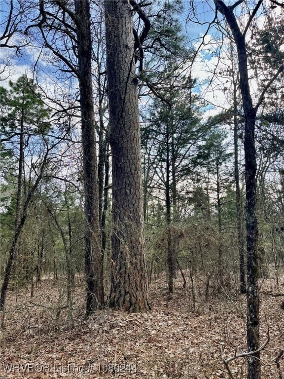 Tract 10 Station Rd, Bokoshe, OK 74930 - photo 1