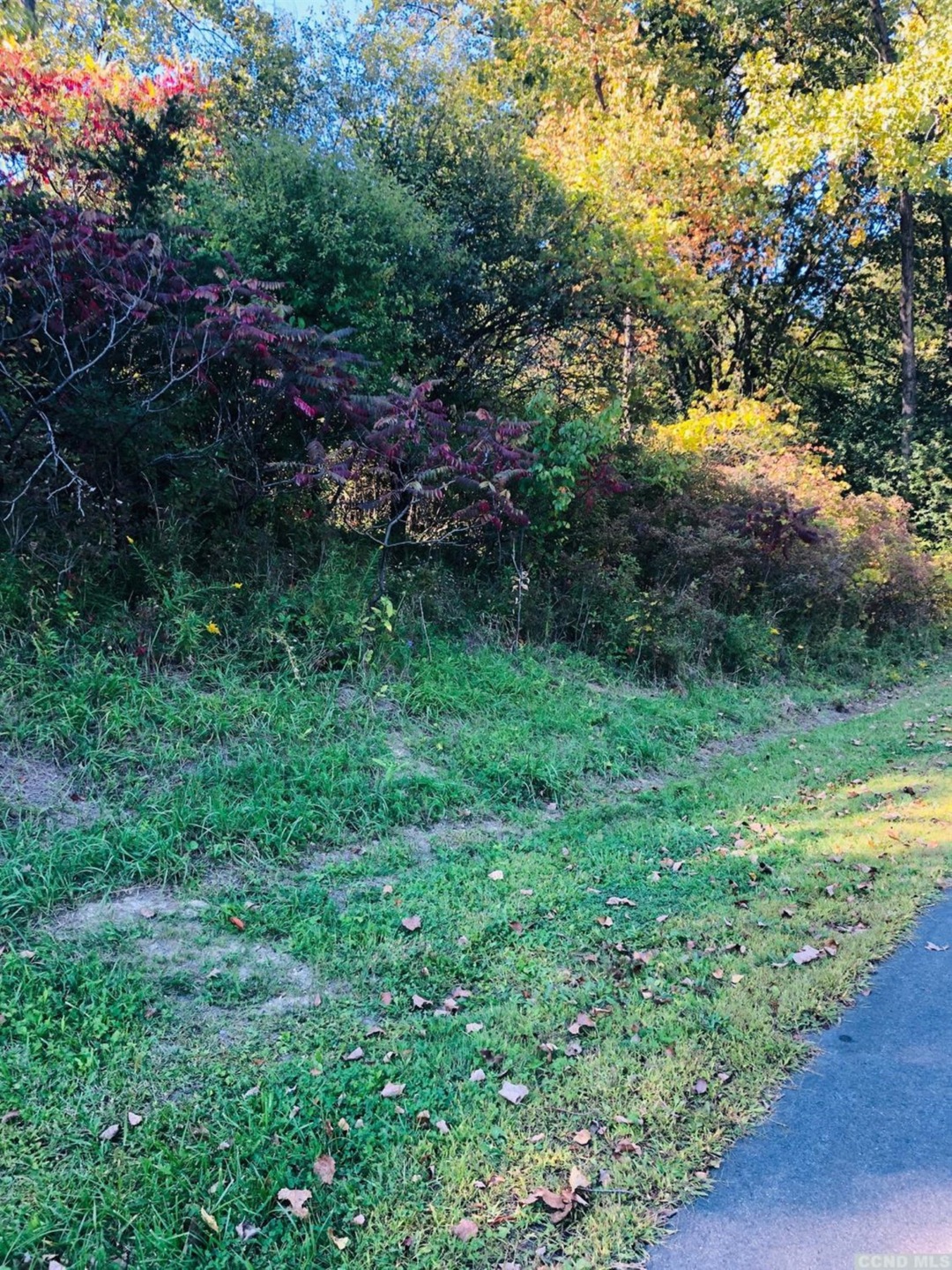 52 - A Sleepy Hollow Rd, Coxsackie, NY 12051 - photo 1