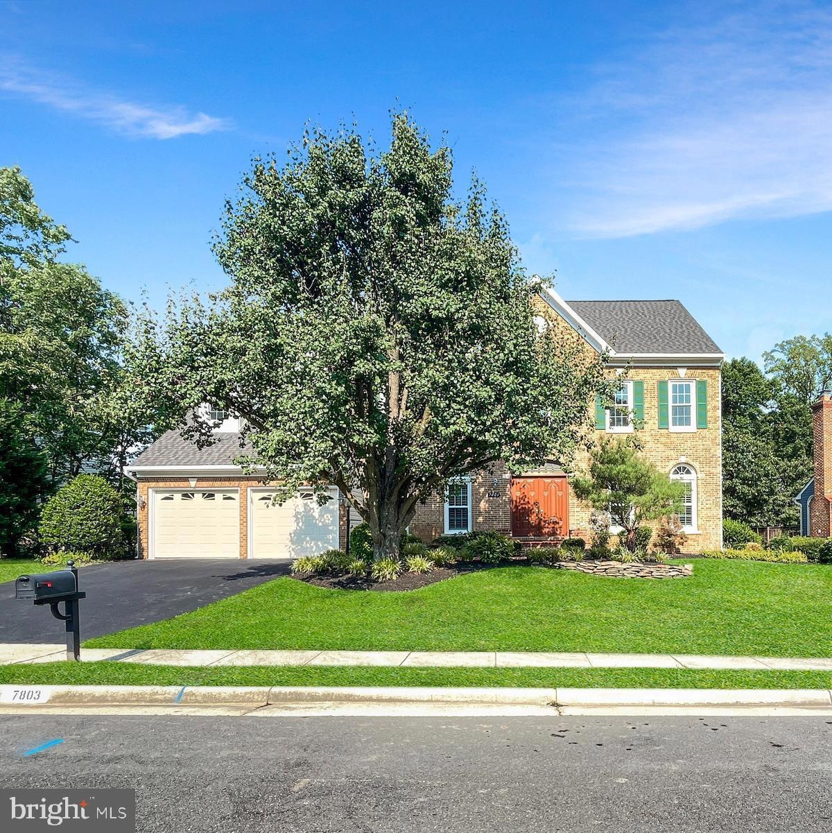 7803 Valleyfield Dr, Springfield, VA 22153 - photo 1