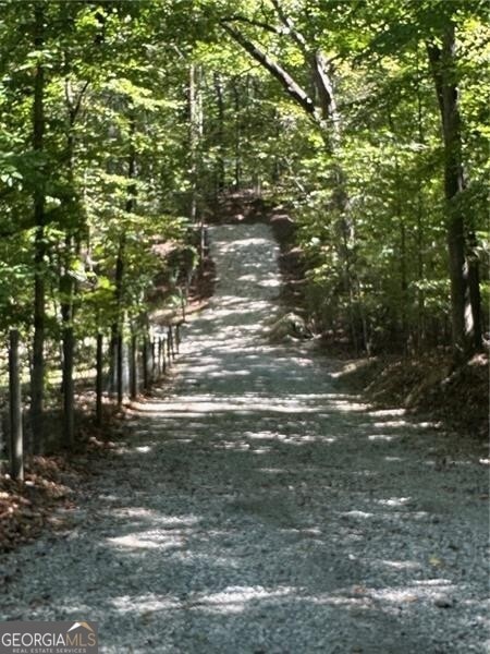 Road leading to lot on Tupelo Hollow