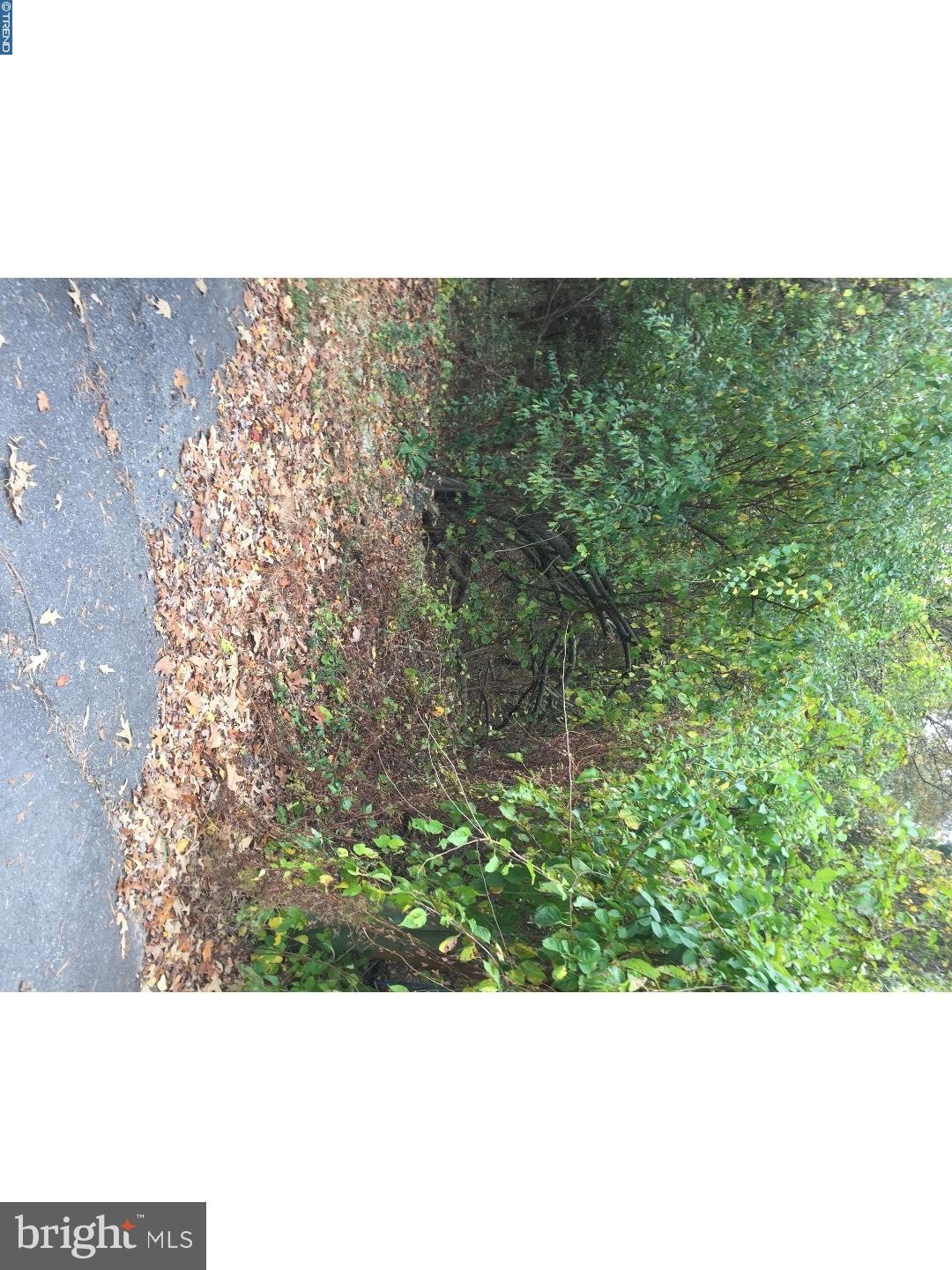 L-24 Magnolia Ave, Franklin, NJ 08322 - photo 1