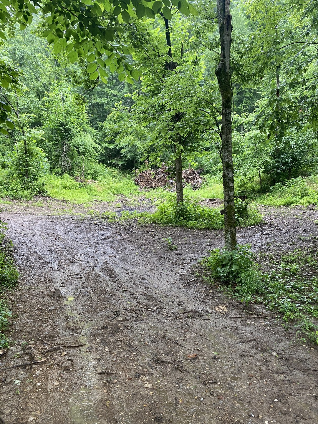 1300 Black Rd, Prospect, TN 38477 - photo 1