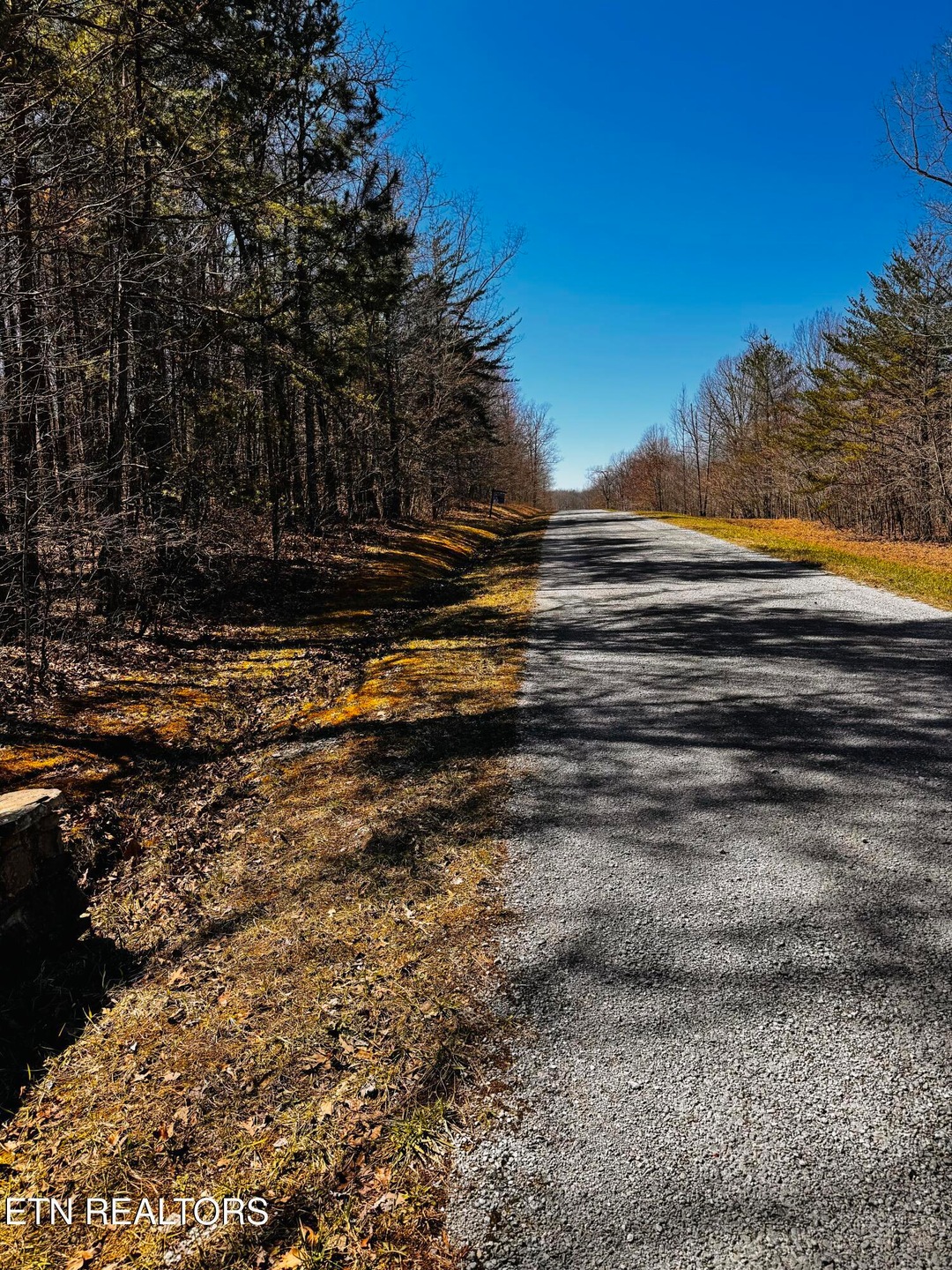 Road View
