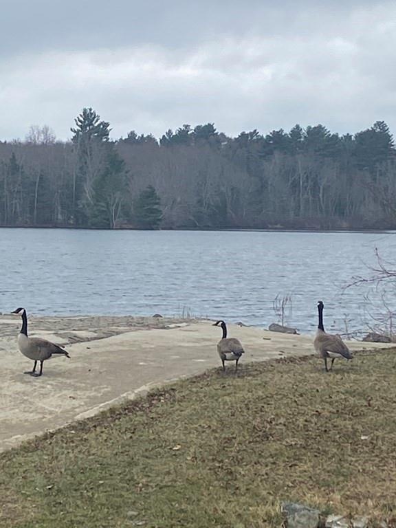 15 Falls Rd, Norton, MA 02766 - photo 1