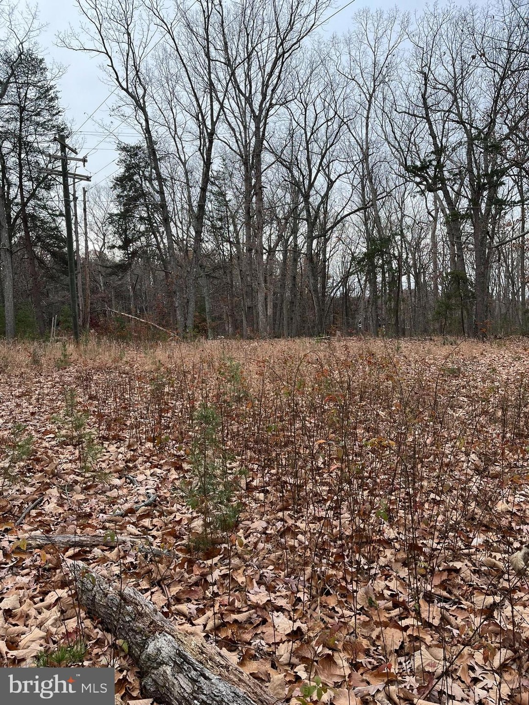 31250 Zoar Rd, Locust Grove, VA 22508 - photo 1