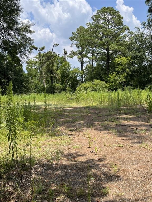 207 Leonard Dr, Pineville, LA 71360 - photo 1