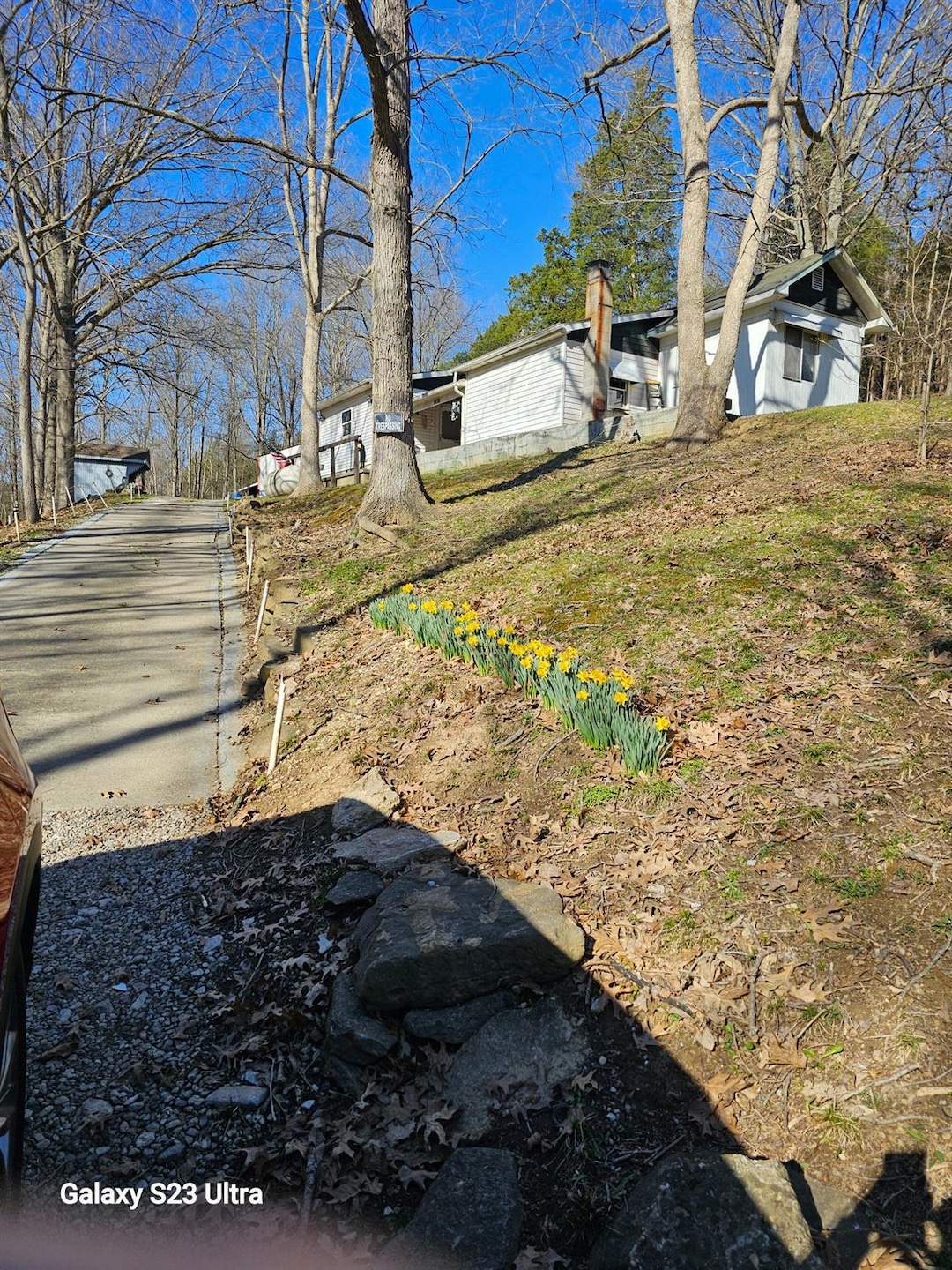 Driveway to Home