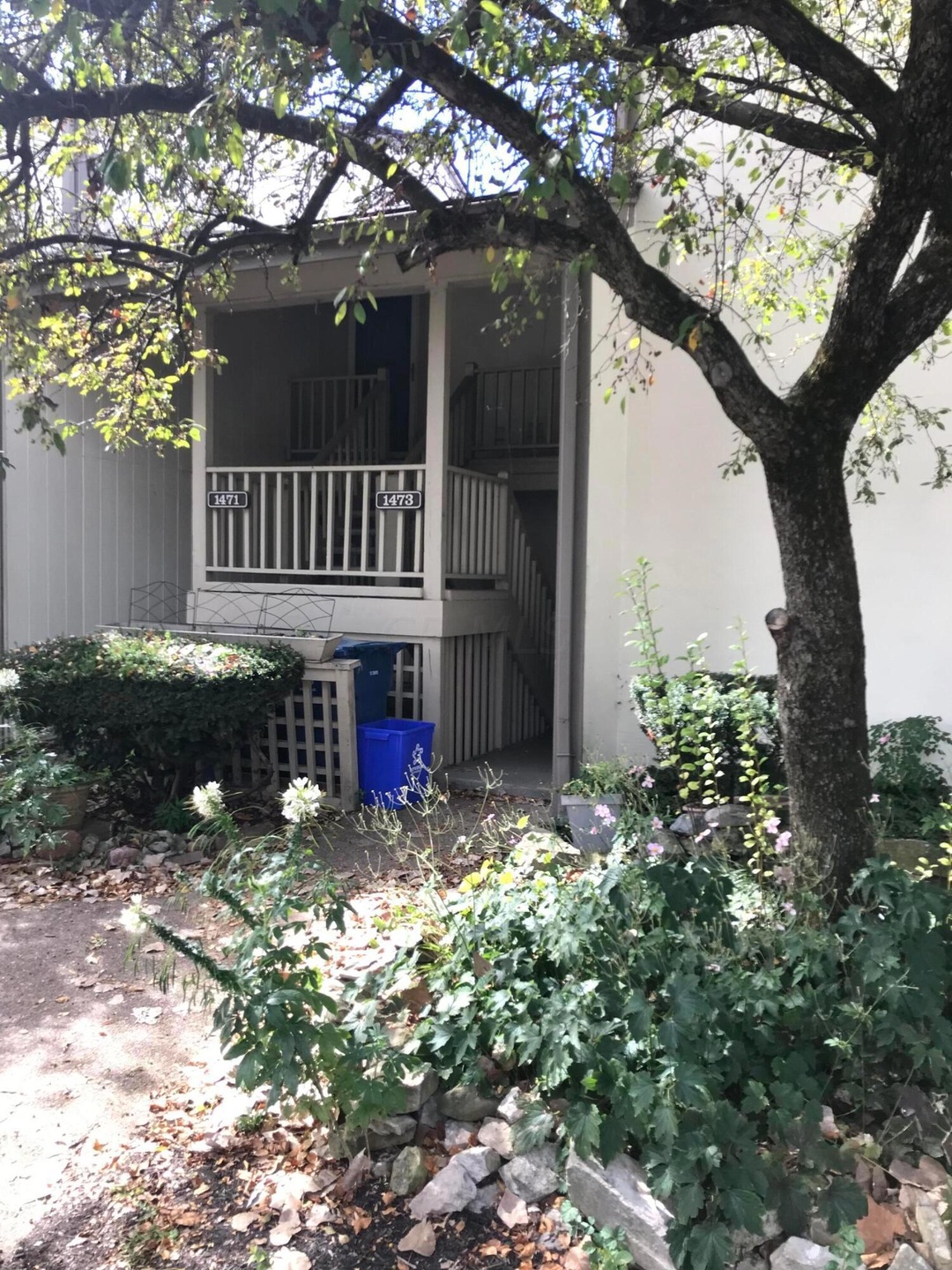 1473 C Cliff Ct.