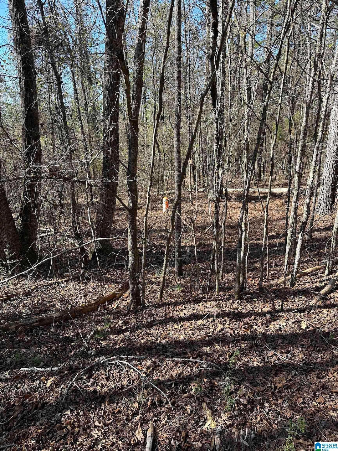 0 Fieldcrest Dr unit Lot 6 21408632, Hayden, AL 35079 - photo 1