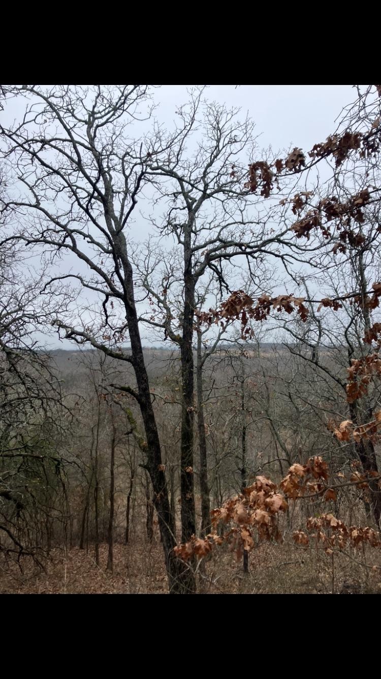 For Sale $10,500,000