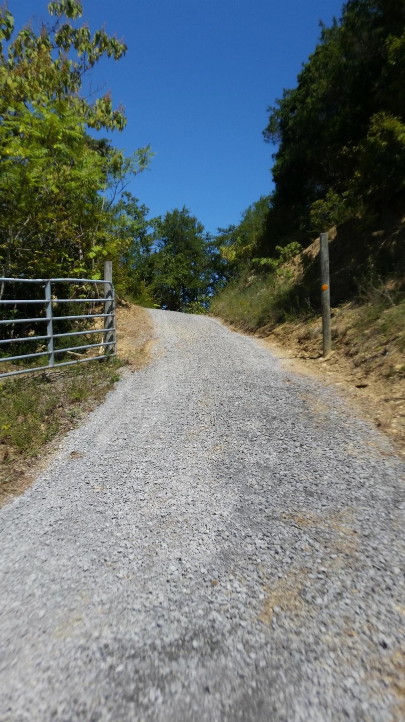 DRIVEWAY ENTRANCE