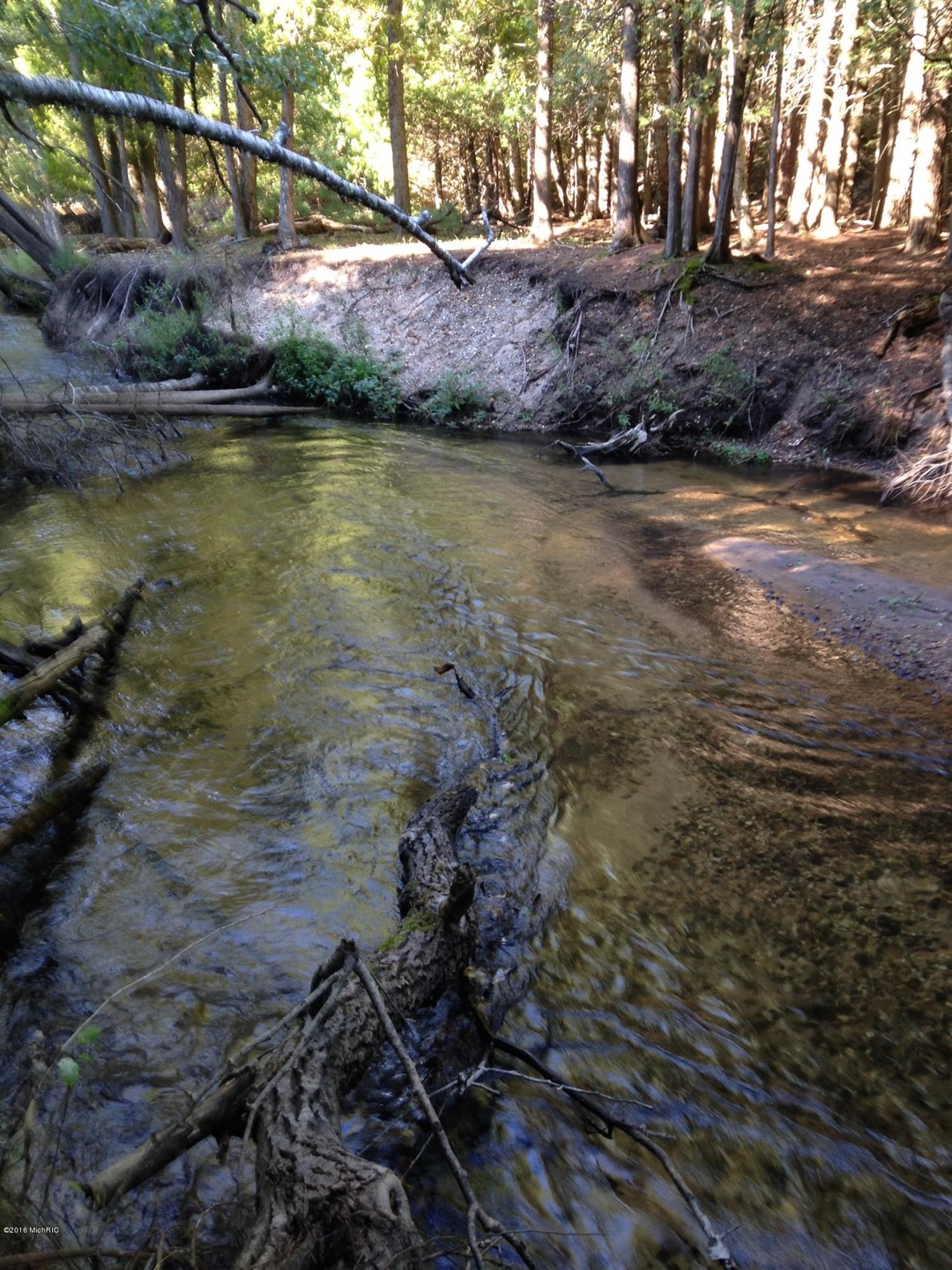 Pine creek 1