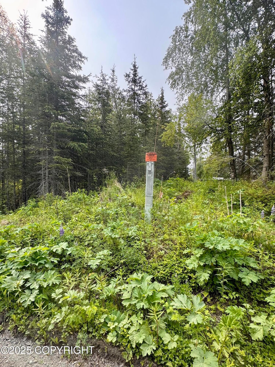 Pending $14,000 • Co-Listing Agent