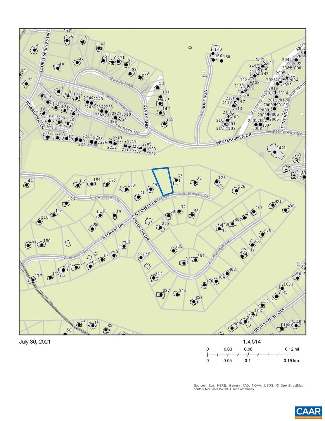 63 N Forest Dr, Roseland, VA 22967 - photo 1