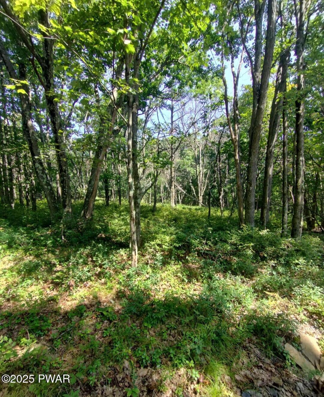 Pending $25,000