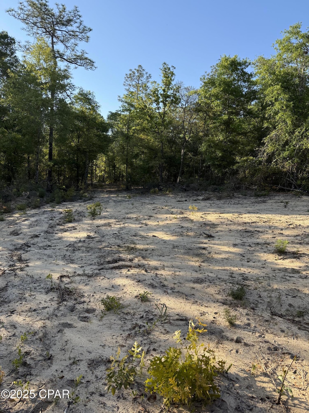 516 Goshun Creek Rd, Chipley, FL 32428 - photo 1