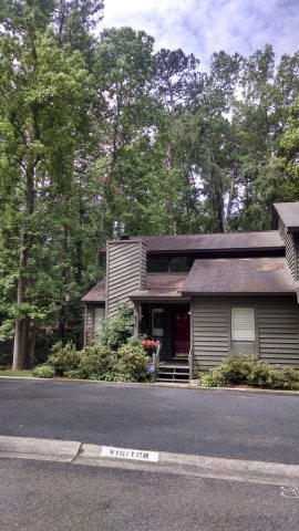 Main View