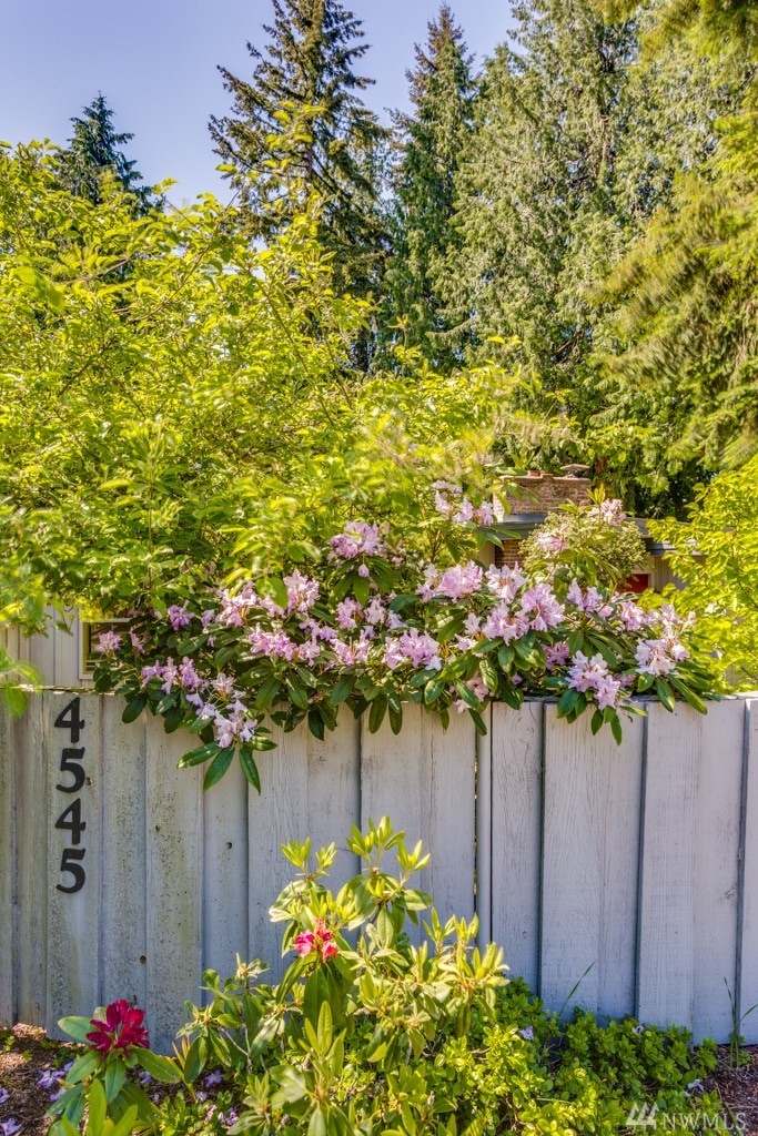 4545 88th Ave SE, Mercer Island, WA 98040 - photo 1
