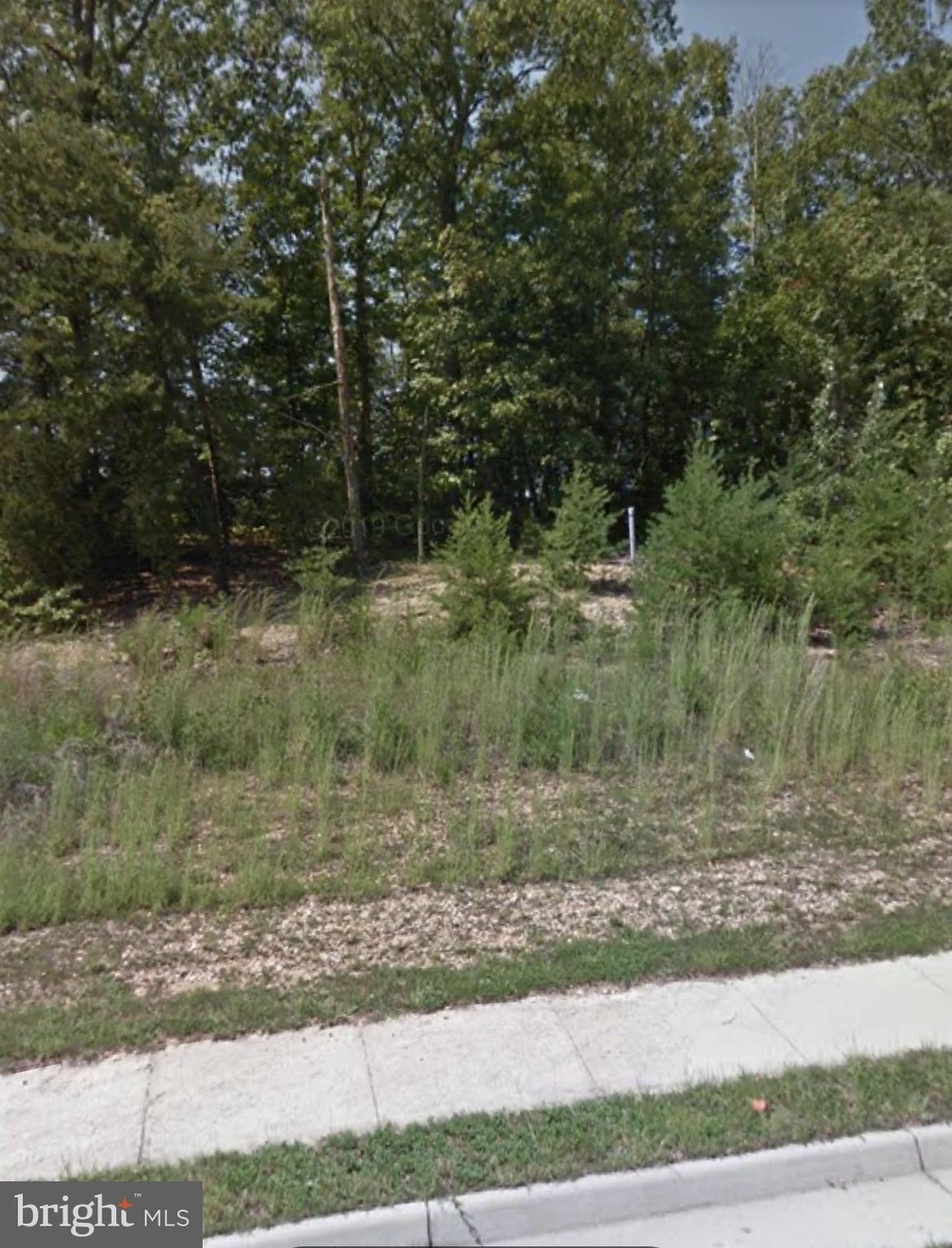 10402 Laurel Ridge Way, Fredericksburg, VA 22408 - photo 1