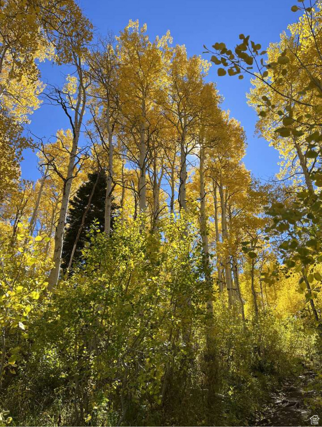 4410 S Fawn Way unit 2038, Heber City, UT 84032 - photo 1