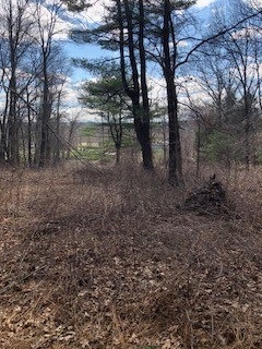 268 Greenville Rd, North Smithfield, RI 02896 - photo 1