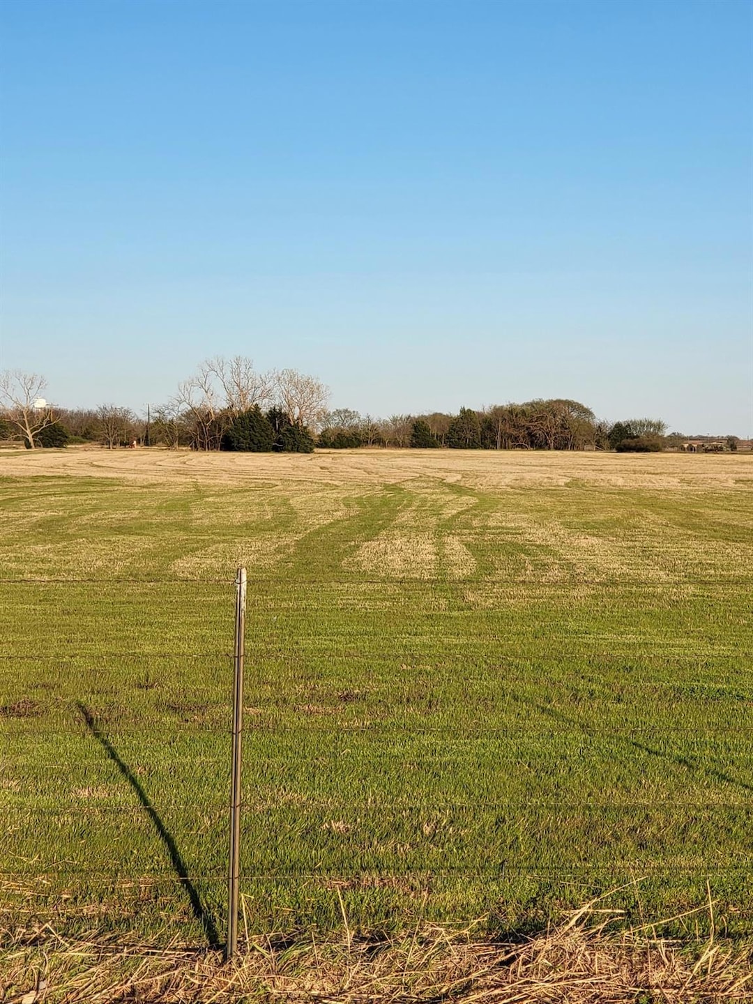 View from the road
