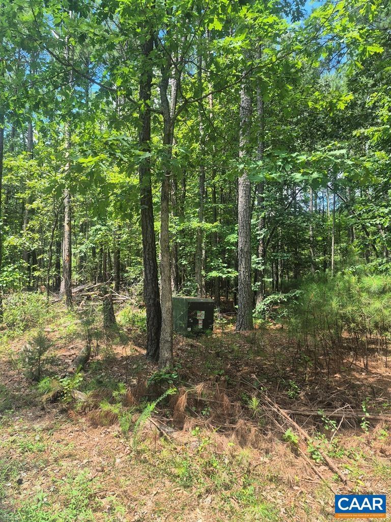 00 Hixburg Rd, Prospect, VA 23960 - photo 1