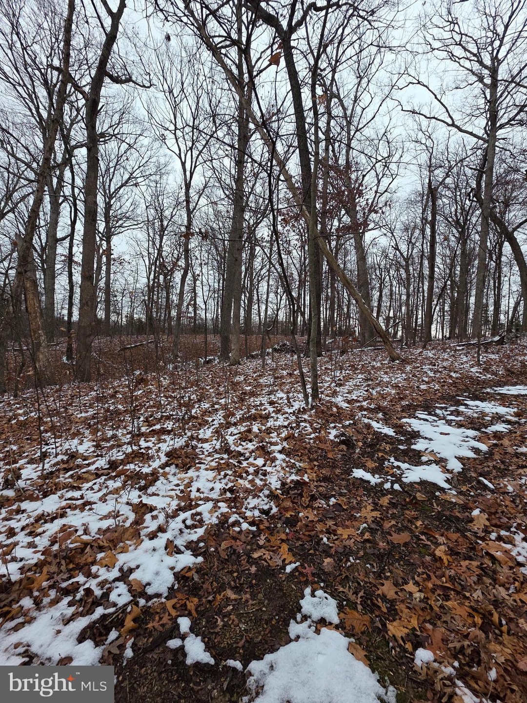 0 Huttle Rd unit VAFV2038332, Middletown, VA 22645 - photo 1