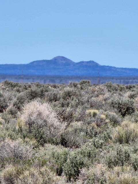 CV 40 acres
