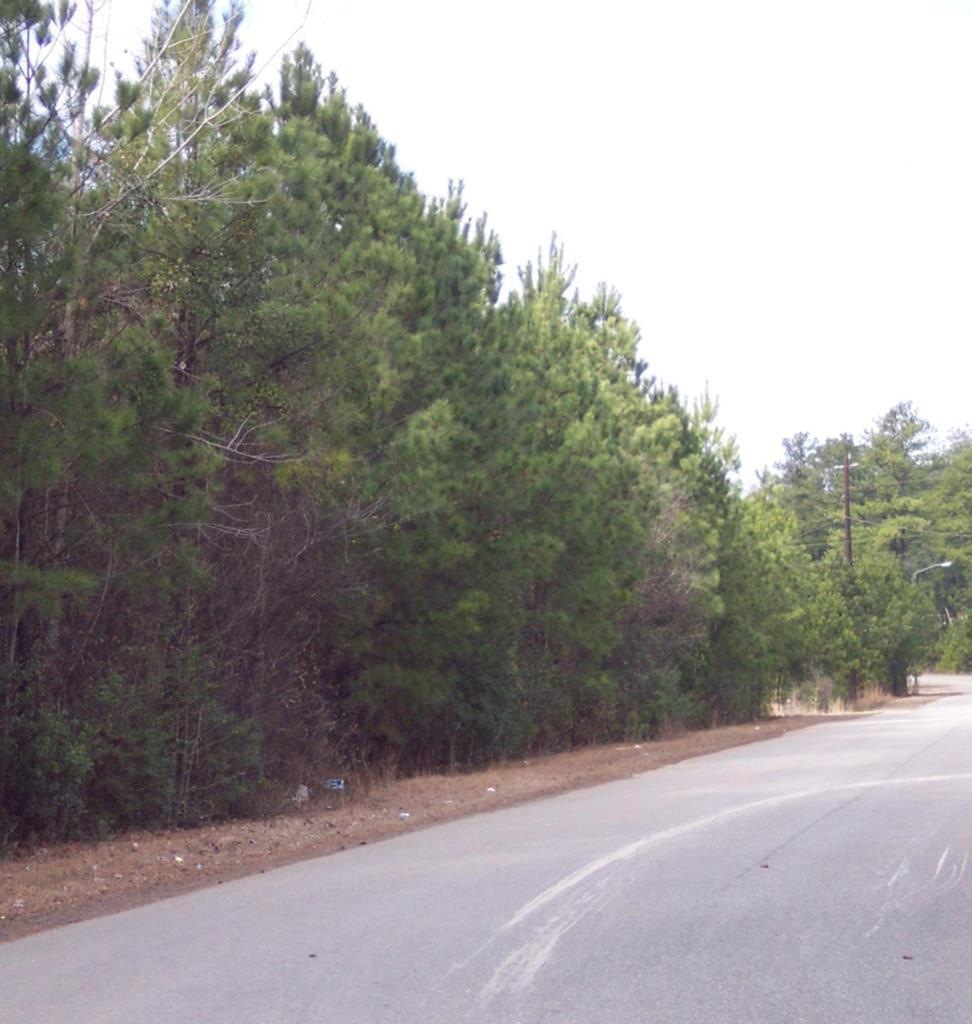 0 Ballpark Rd, Gordon, GA 31031 - photo 1