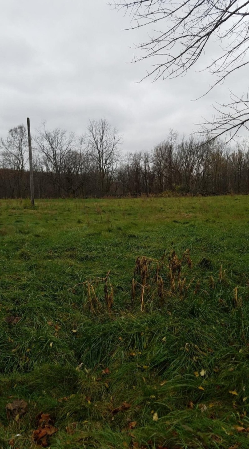 vacant land dale