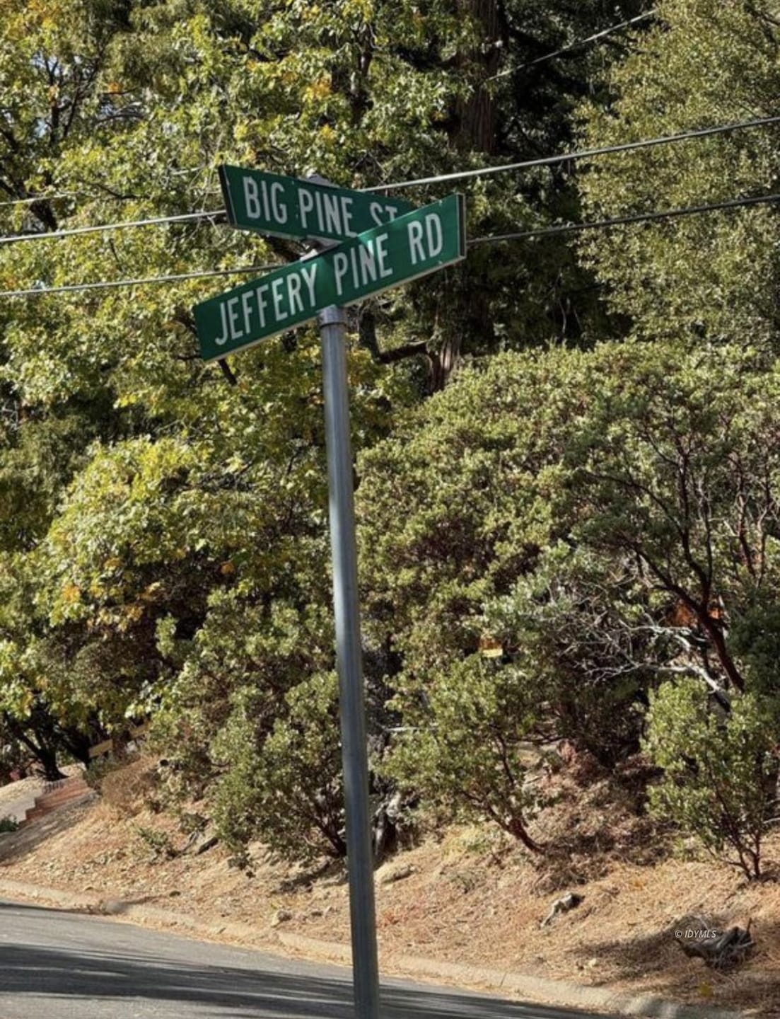 53642 Jeffery Pine Rd, Idyllwild-Pine Cove, CA 92549 - photo 1