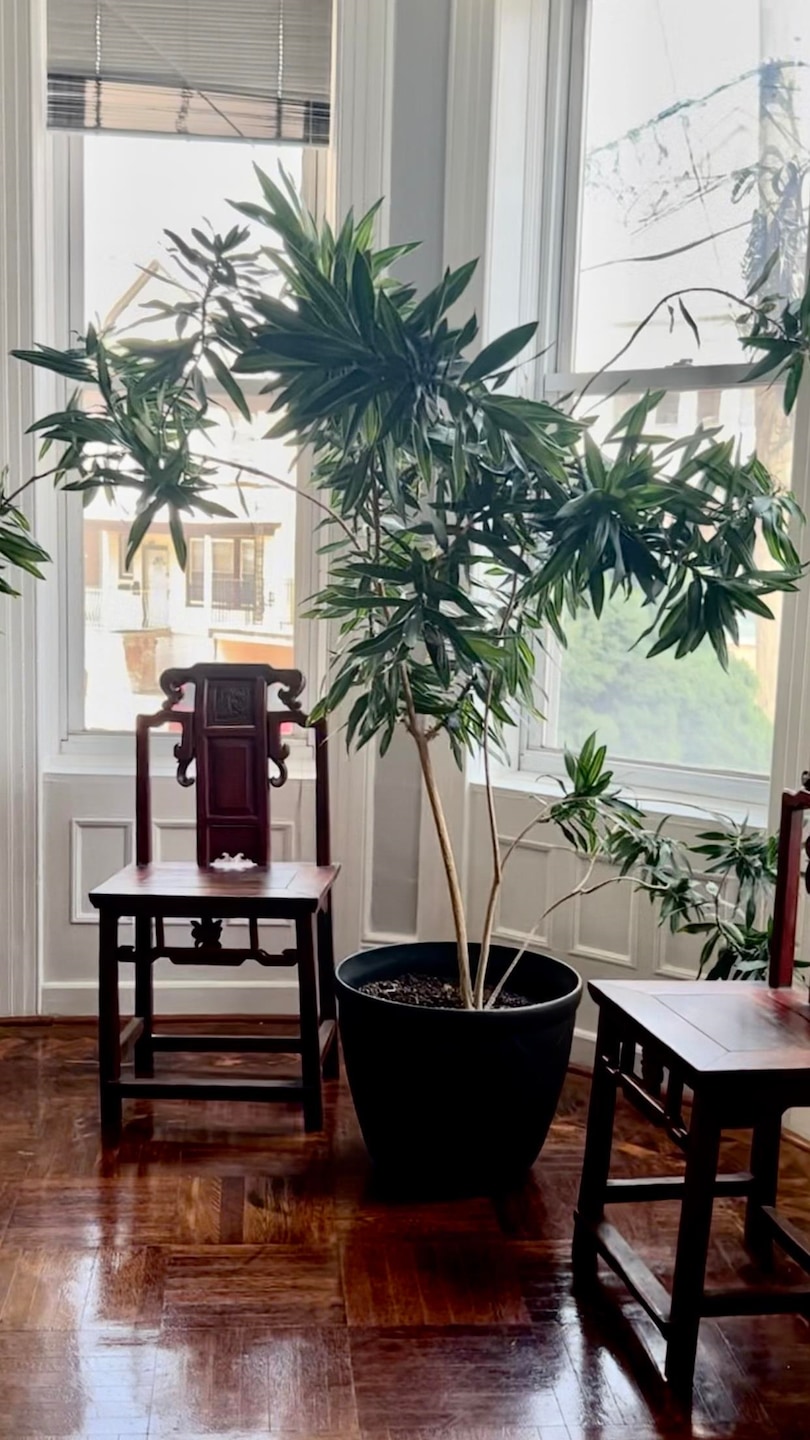 265 Woodlawn Ave, Jersey City, NJ 07305 - photo 1