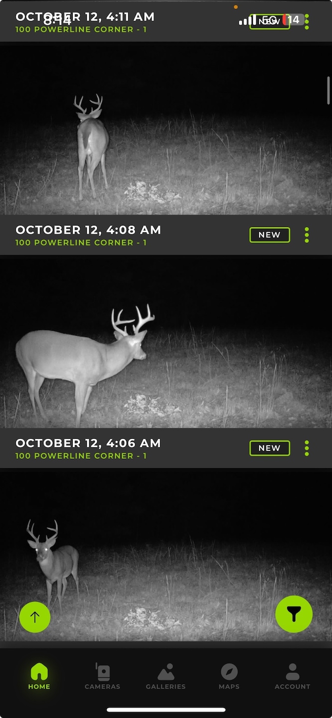 0 Allens Creek Rd unit RTC3007283, Hohenwald, TN 38462 - photo 1