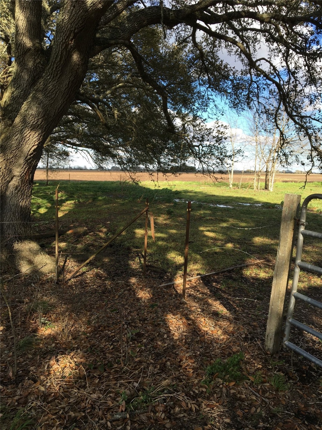 Tract B Boone Rd, Needville, TX 77461 - photo 1