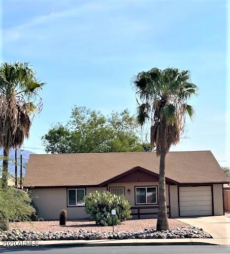 ROYAL PALM FRONT 2