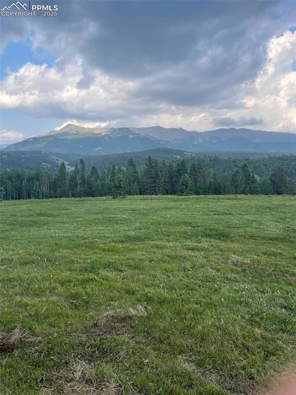 Mountain view with rural landscape and a forest