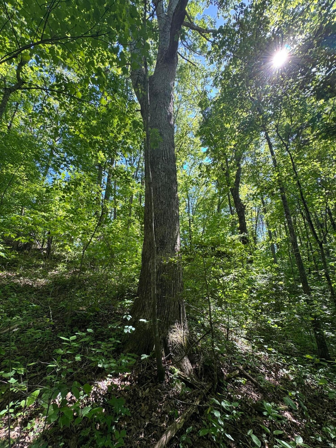 Pending $35,000