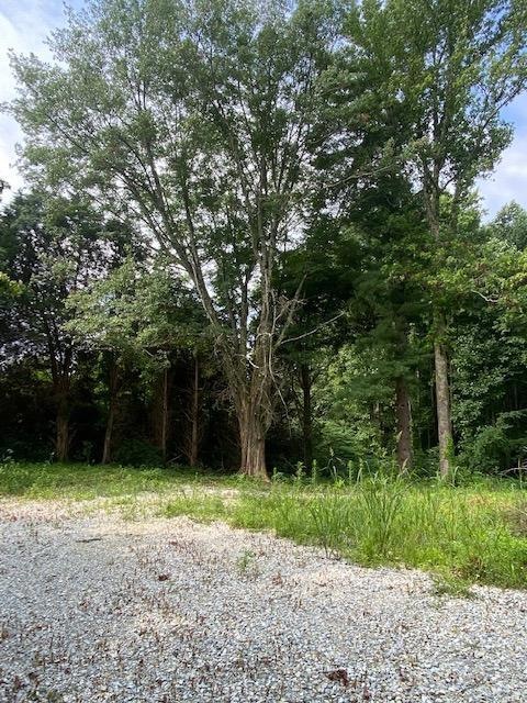 9618 N Spades Rd, Sunman, IN 47041 - photo 1