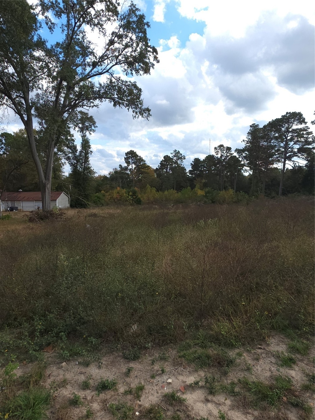 2303 S Fredonia St, Nacogdoches, TX 75964 - photo 1