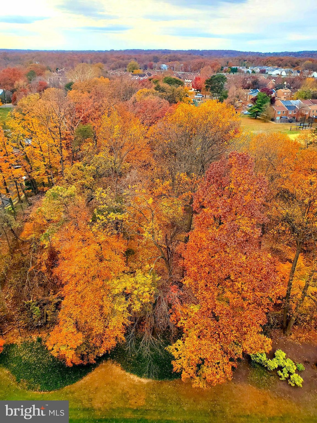203 Yoakum Pkwy unit 1807, Alexandria, VA 22304 - photo 1