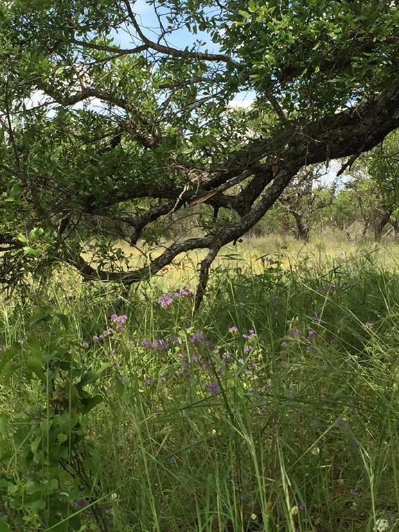 30034 Woodcrest Dr, Whitney, TX 76692 - photo 1