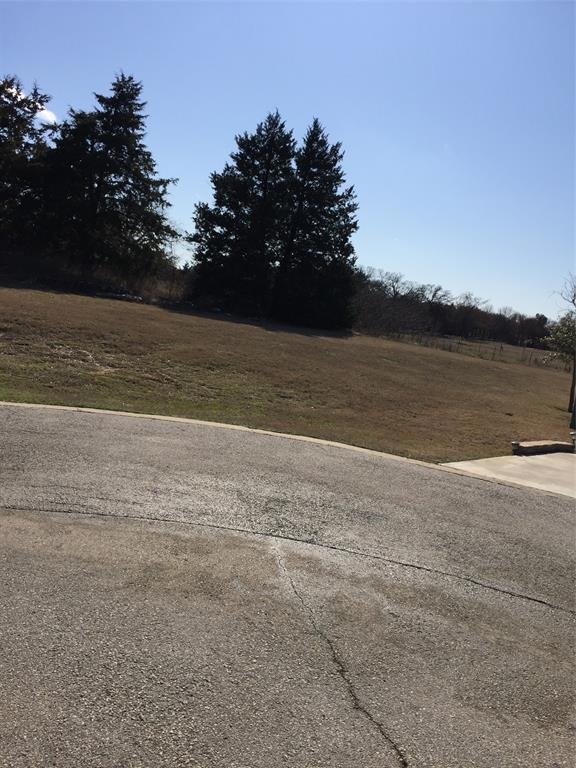 TBD L11 Meridian Ln, Gordonville, TX 76245 - photo 1