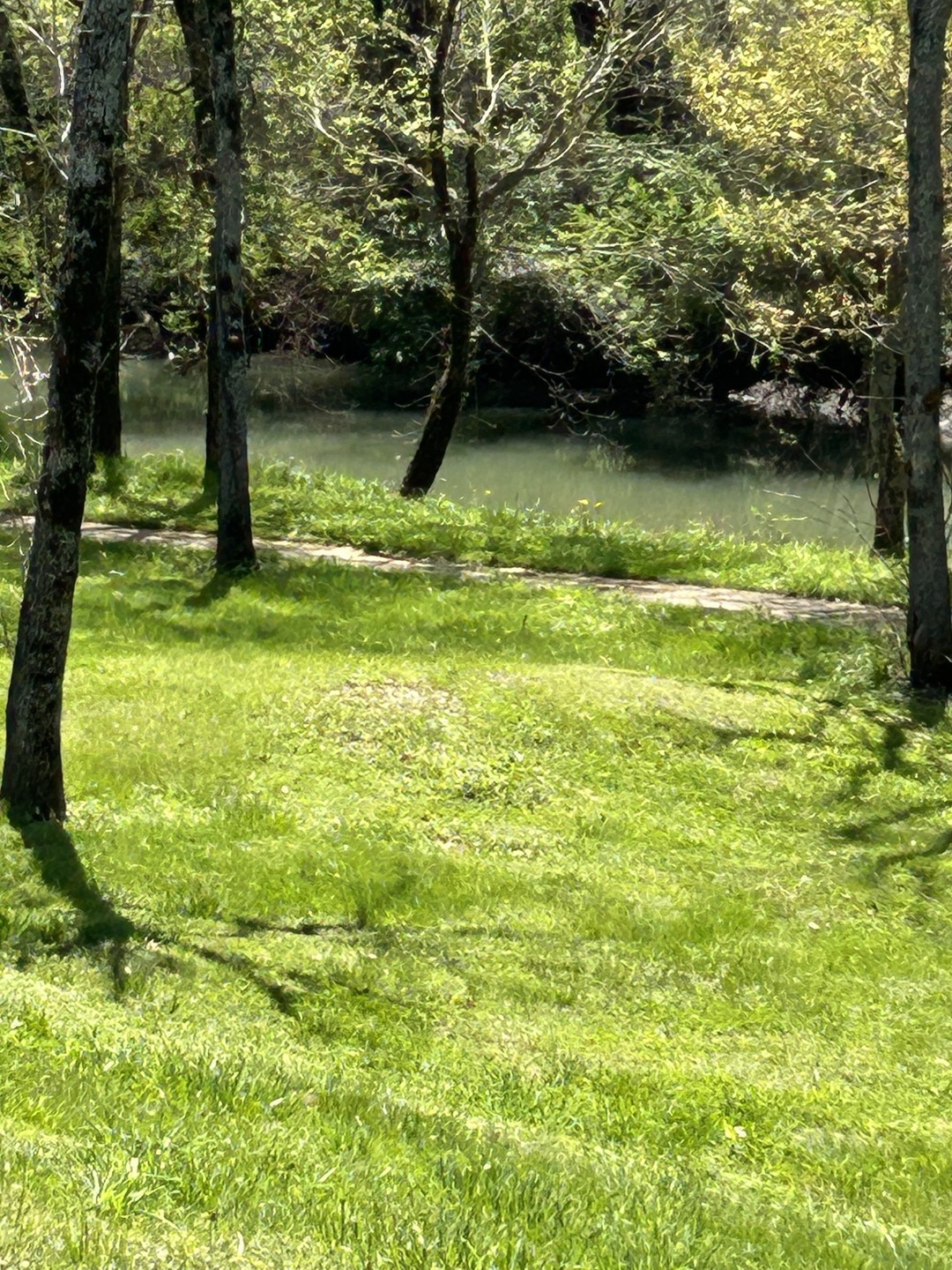 1605 S Cannon Blvd, Shelbyville, TN 37160 - photo 1