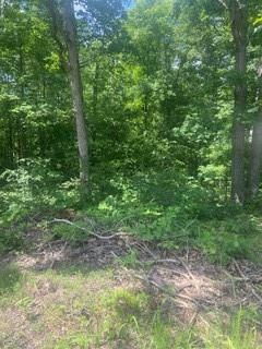 Lot 55 Blk 5 Newbury Ln, Bella Vista, AR 72714 - photo 1