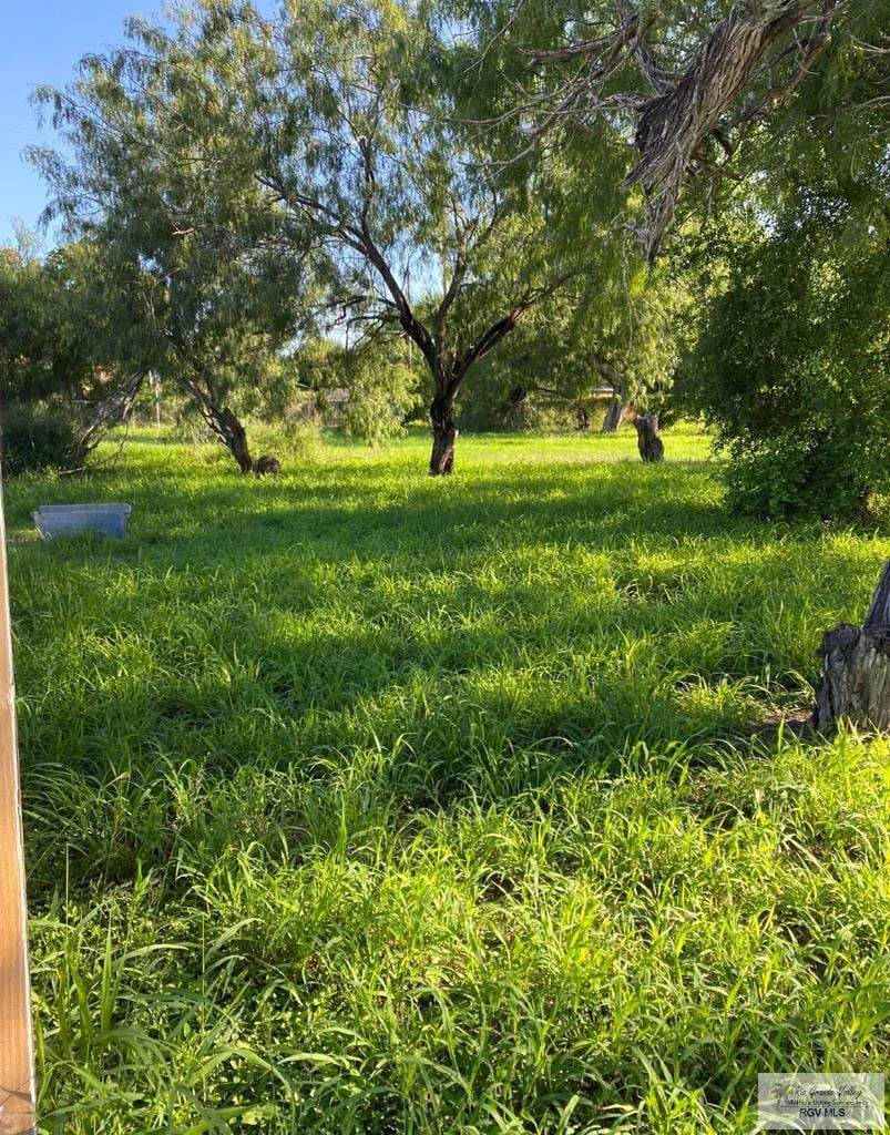 0 McDavitt Blvd unit 29768178, Brownsville, TX 78521 - photo 1