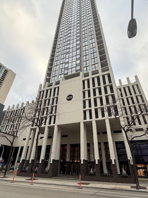 The Elm at Clark unit P349, Chicago, IL 60610 - photo 1